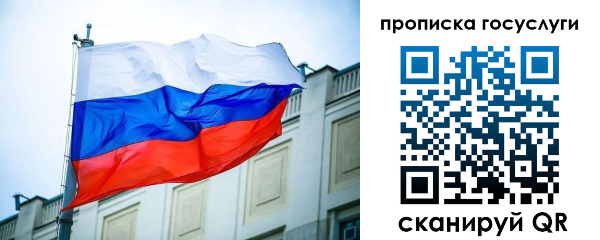 прописка поиск в Коломне